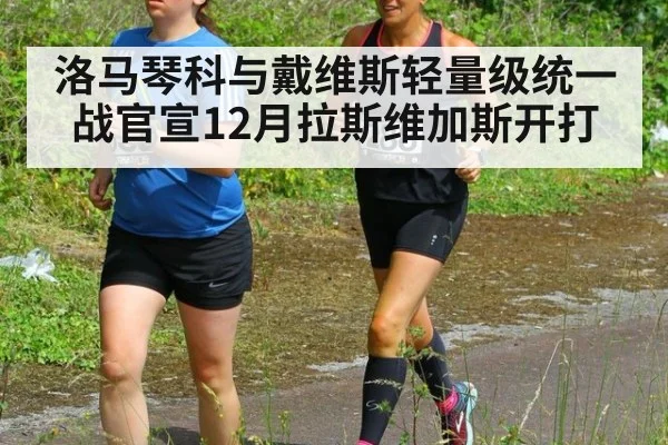 洛马琴科与戴维斯轻量级统一战官宣12月拉斯维加斯开打